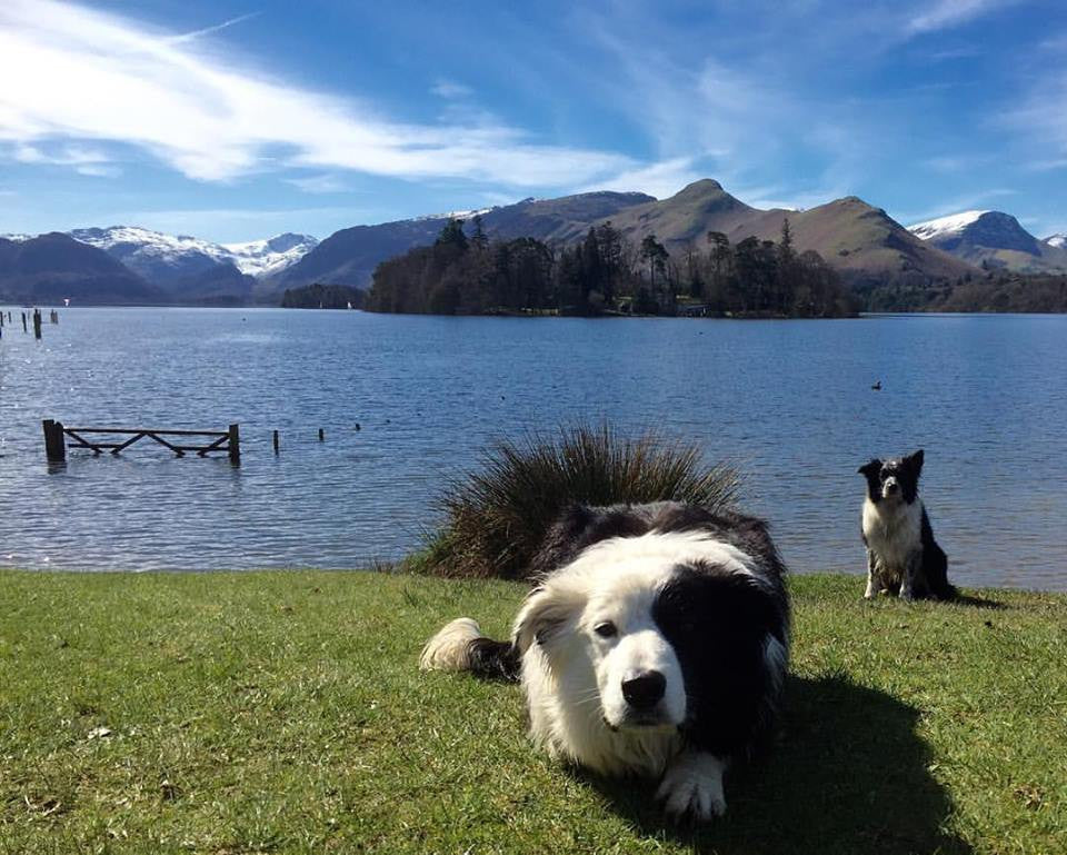 Happy Friday, it's perfect in Keswick today! We're off on a long walk, yippee!