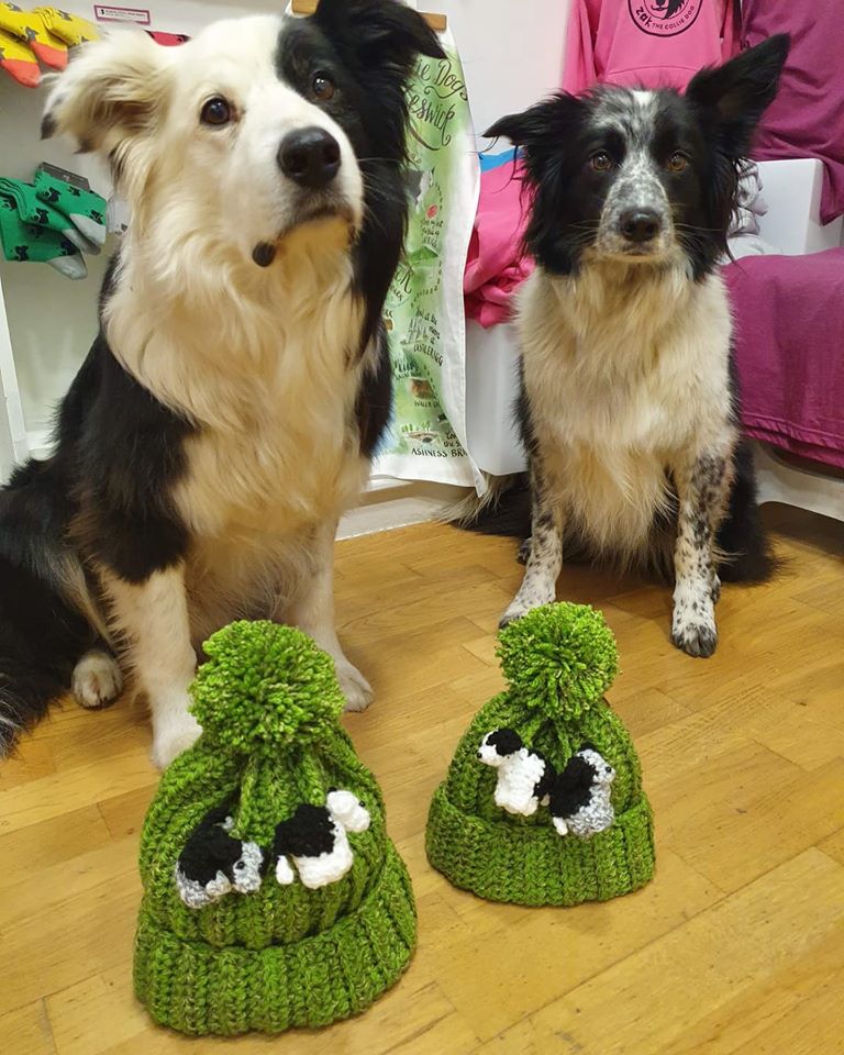 Look At Our New Hat!!