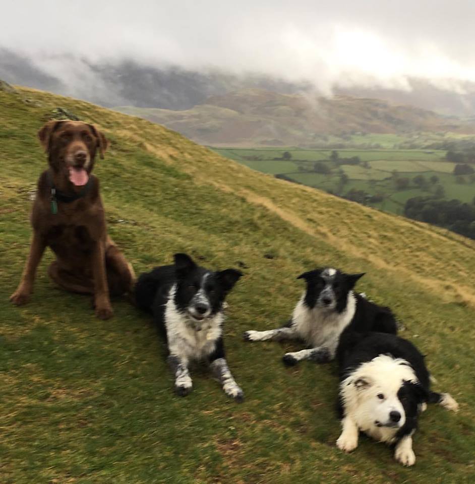 A Latrigg run after work. The best with my Glenshee pals!