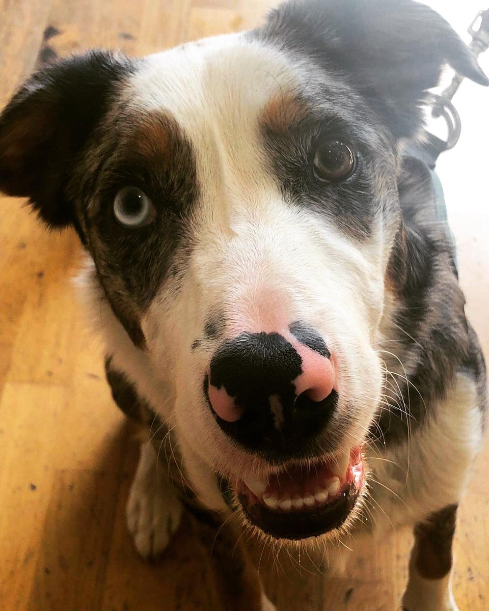 Tig!