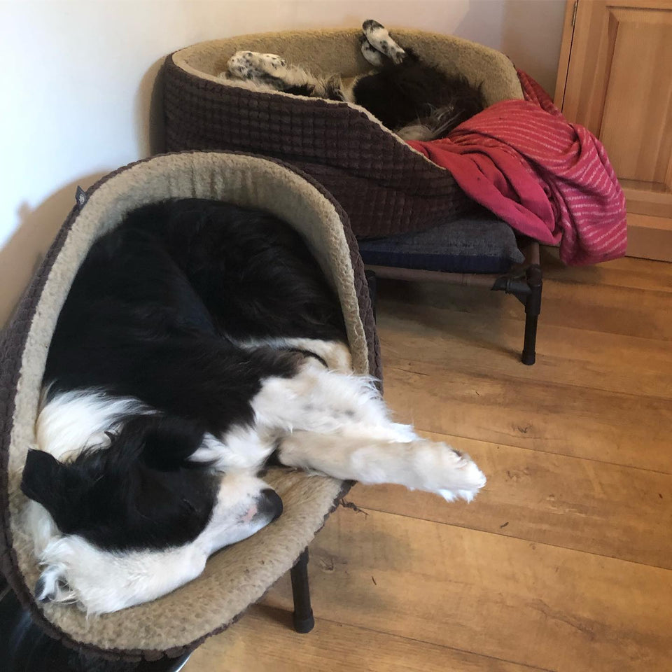 What Saturdays are made for!
