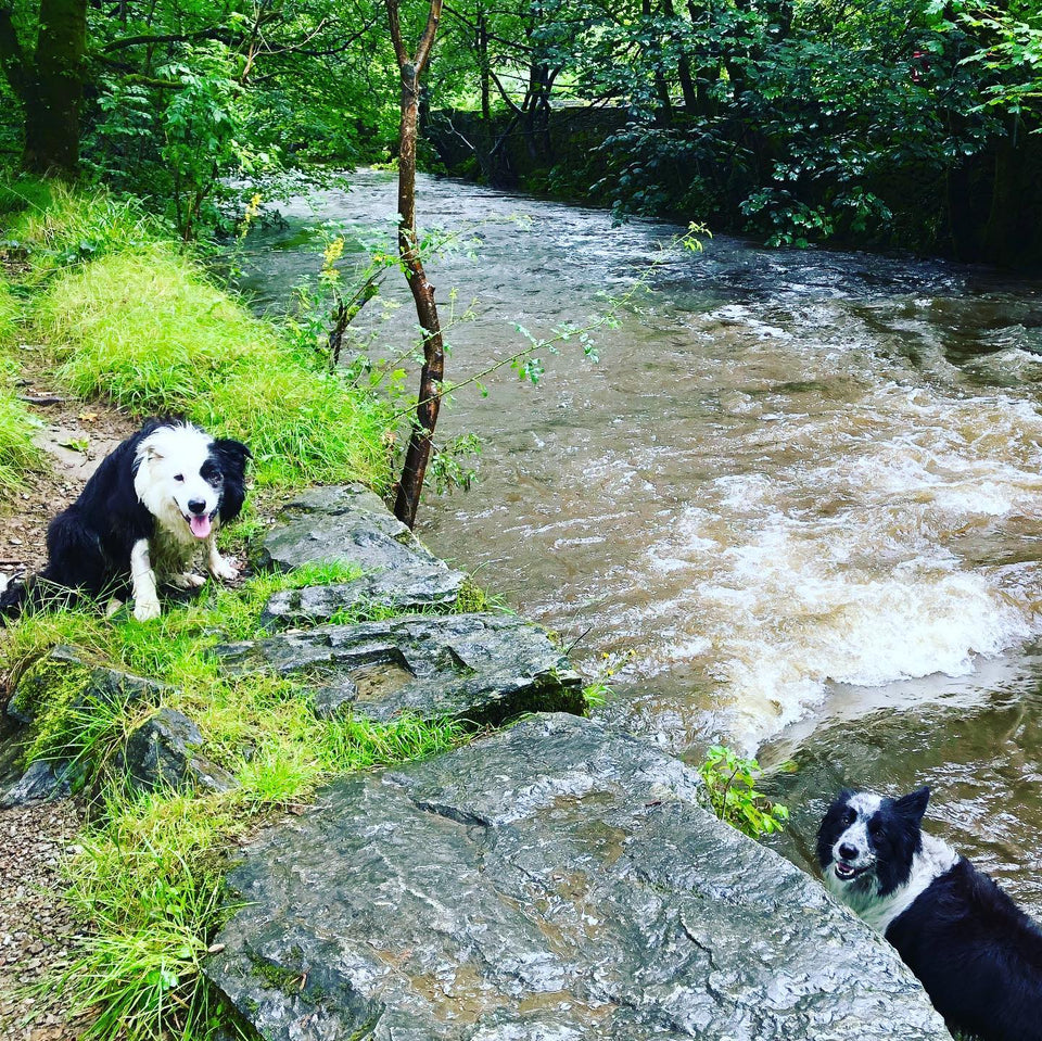 Lovely Lake District down pour!