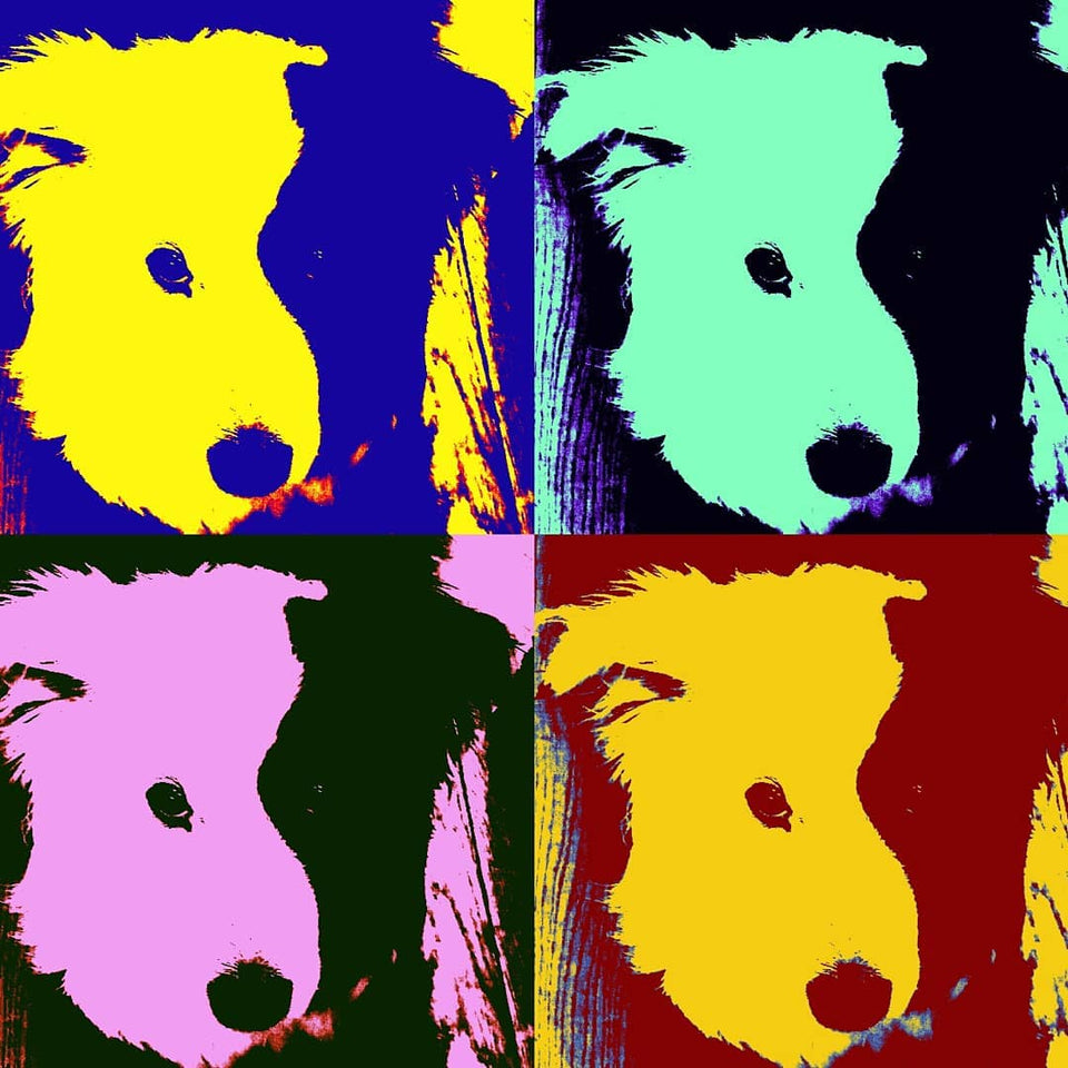 Pop Art!