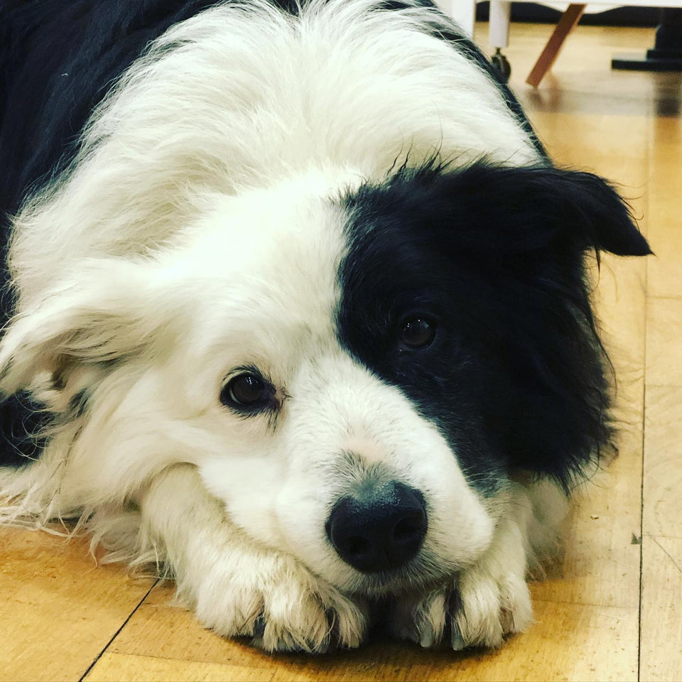 Sending love on a wet Thursday!