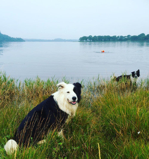 Very still swim at #Bassentwaite