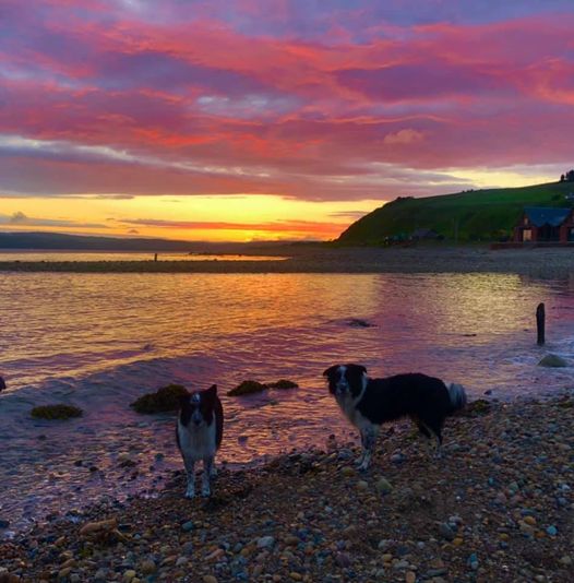 The Perfect End to a Perfect Day
