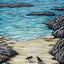 Oystercatcher Cove - Fine Art Print by Jennifer Guest Art
