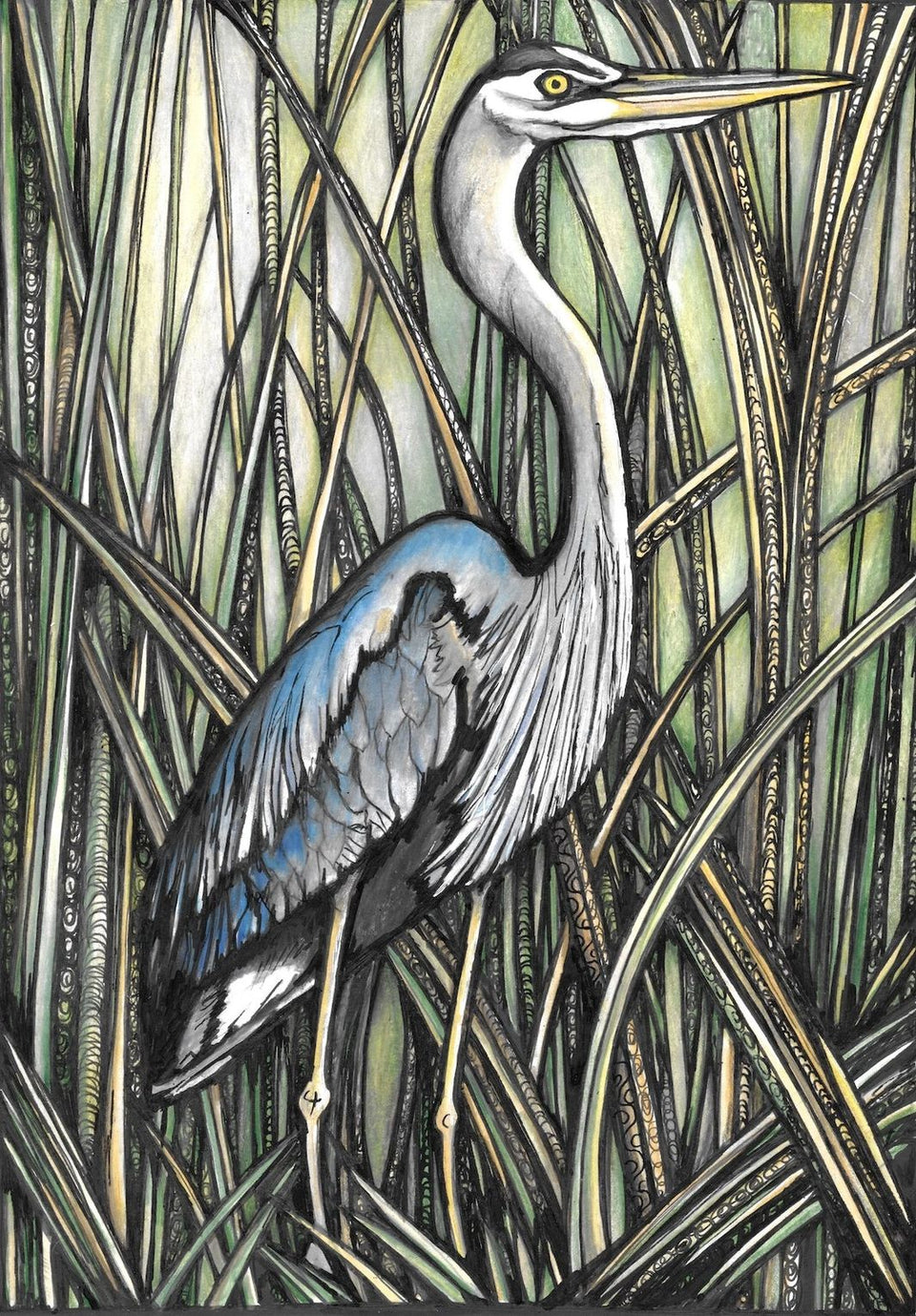 Heron in the Reeds - Fine Art Print by Jennifer Guest Art
