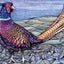 Pheasant on the Moor - Fine Art Print by Jennifer Guest Art