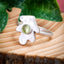 Ode to Nature Collection - Rings (Plants & Fungi) - Recycled Sterling Silver