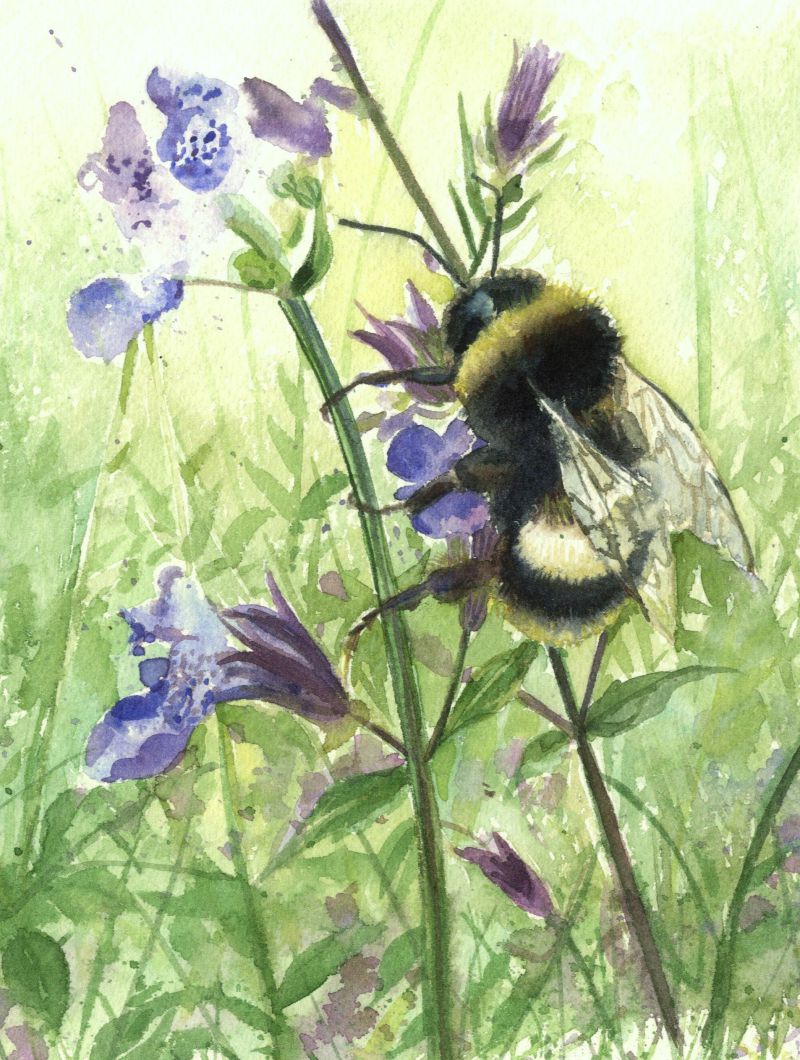Birds & Bees in Landscapes painted by Sarah Stoker