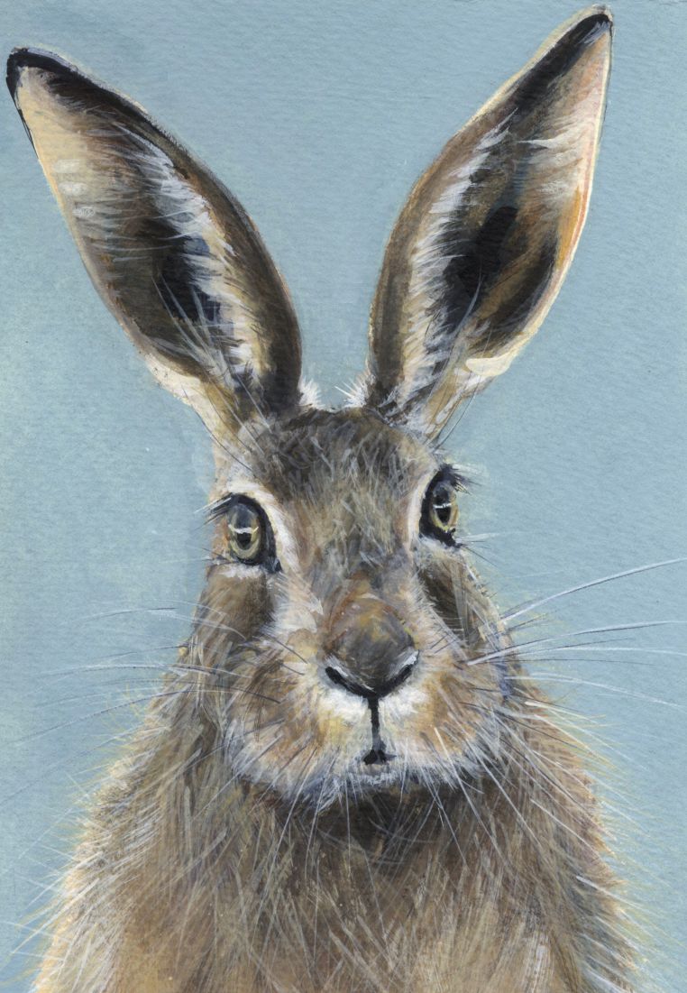 Blue Hare - print of original watercolour by Sarah Stoker