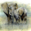 Mother & baby elephant - print of original watercolour by Sarah Stoker