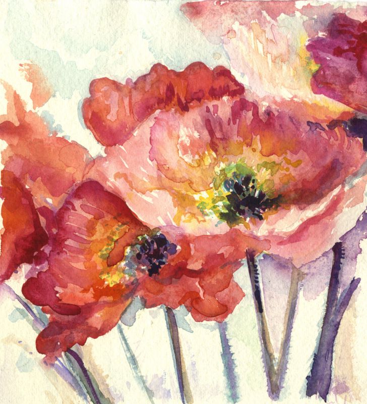 Vintage Poppies - print of original watercolour by Sarah Stoker