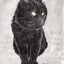 IB, Gina Andrews, InkBison, indian ink, inks, painting, pets, prints, animal, cat