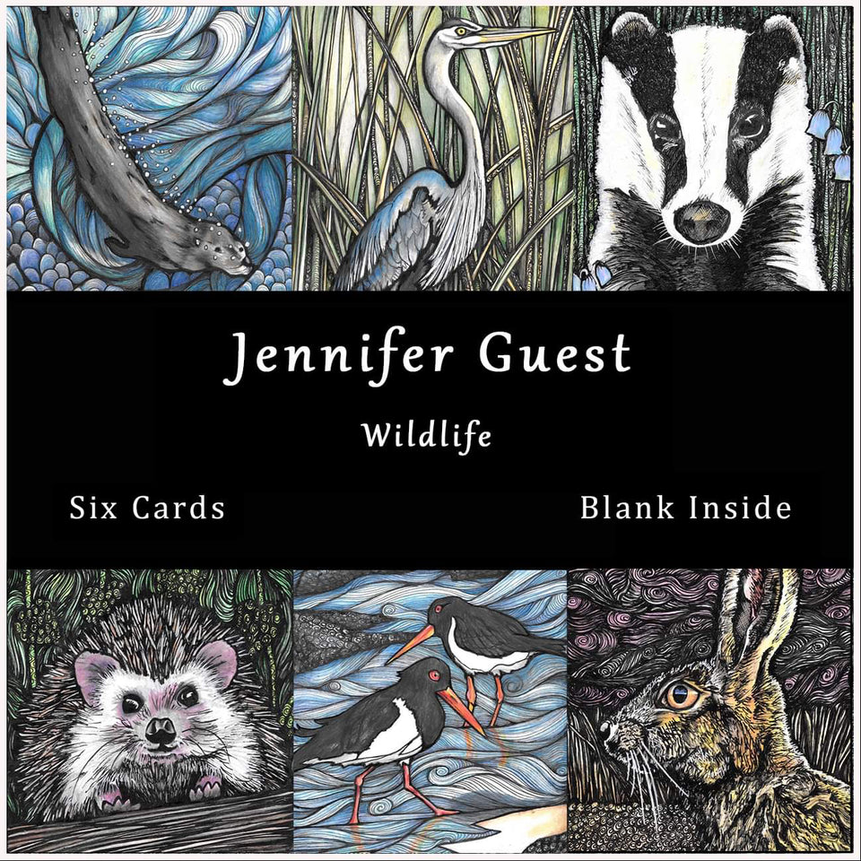 A Box of Cards for Wildlife Lovers by Jennifer Guest Art