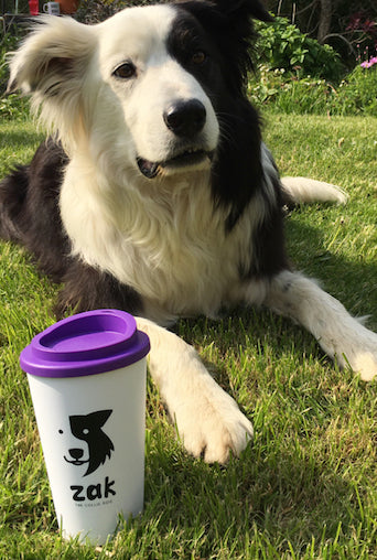 Refillable Mug - ‘Zak the Collie Dog' Collection
