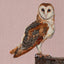 Barn Owl - an original needle felted picture by Valentina Vandome Felting Art