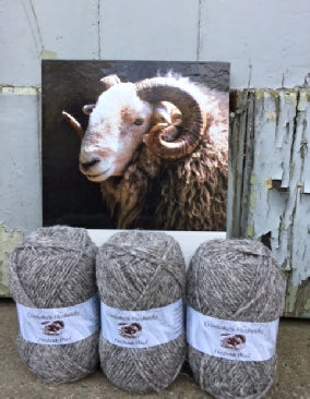 Light Herdwick Knitting Wool by Cumbrian Crookabeck Herdwicks