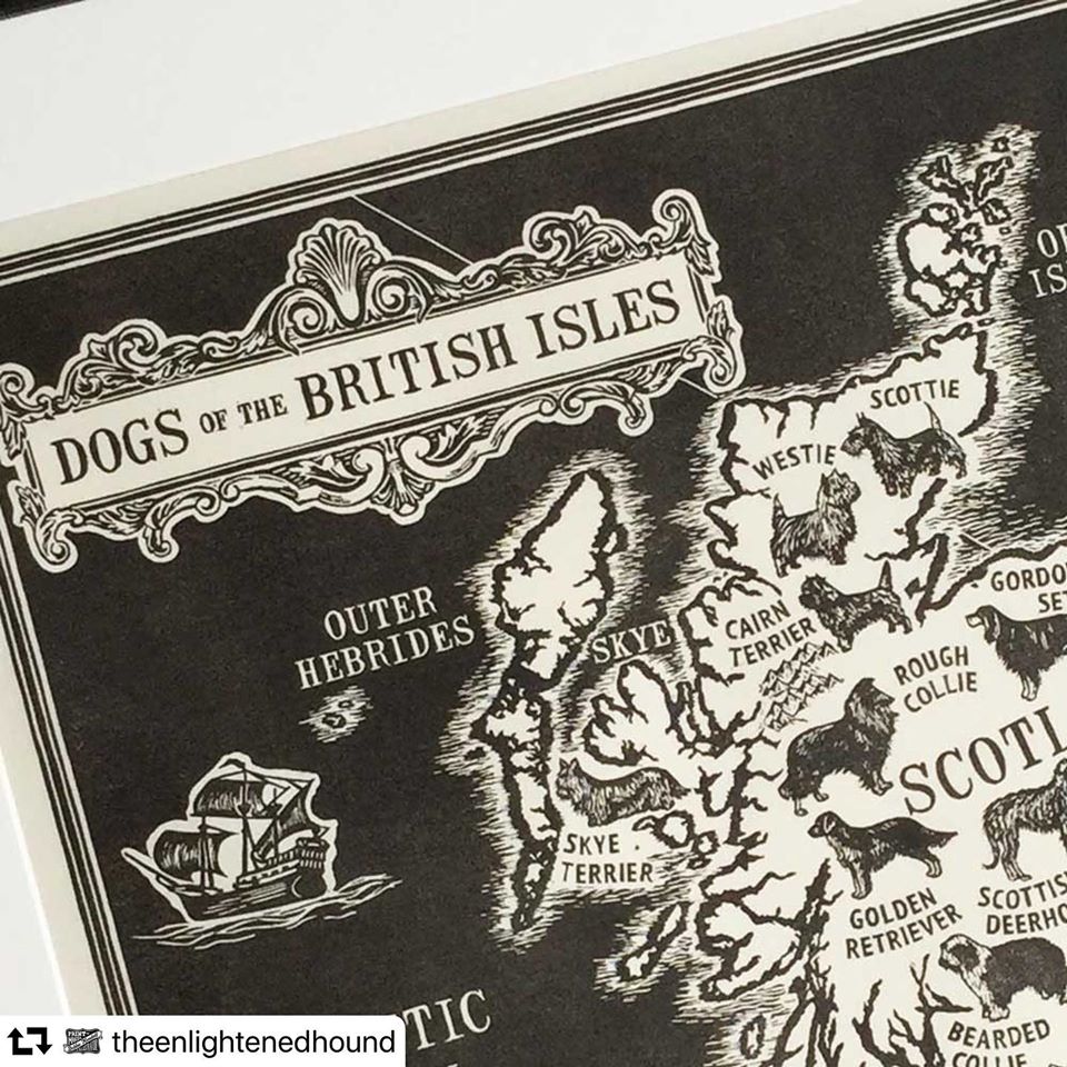 Dogs of the British Isles!