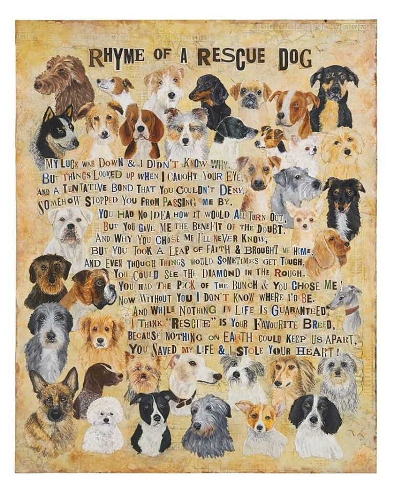Who rescued who?