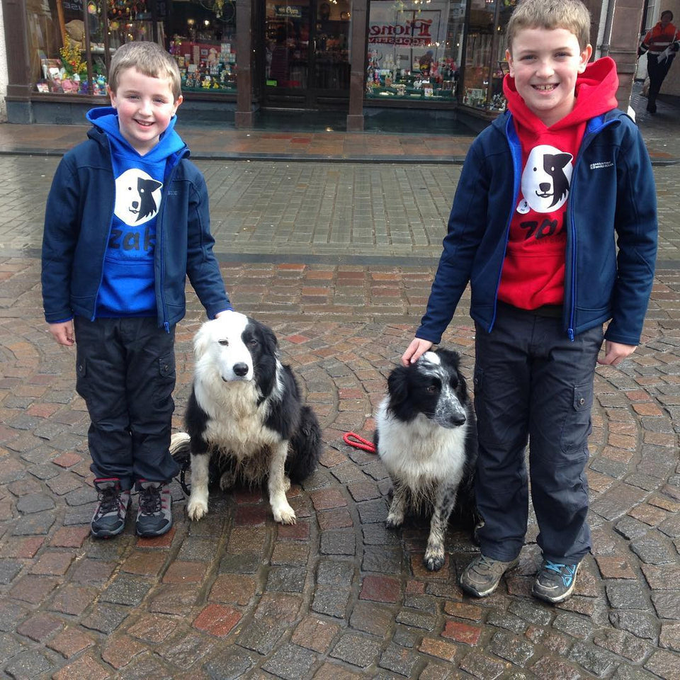 ‪Came down off Latrigg and look who I bumped into! Two of the best dressed young men I've ever seen! ‬ @zakthecolliedog @bordercollietrustgb @notjustlakes @lake__district