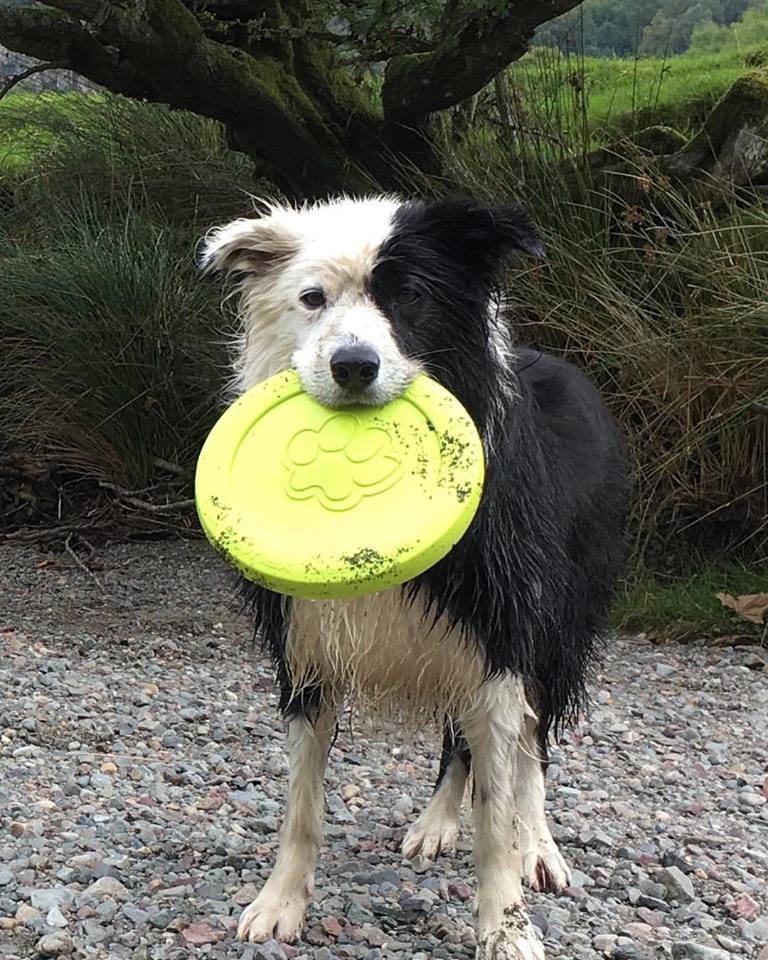 ‪And to top it off, we've been reunited with our frisbee!