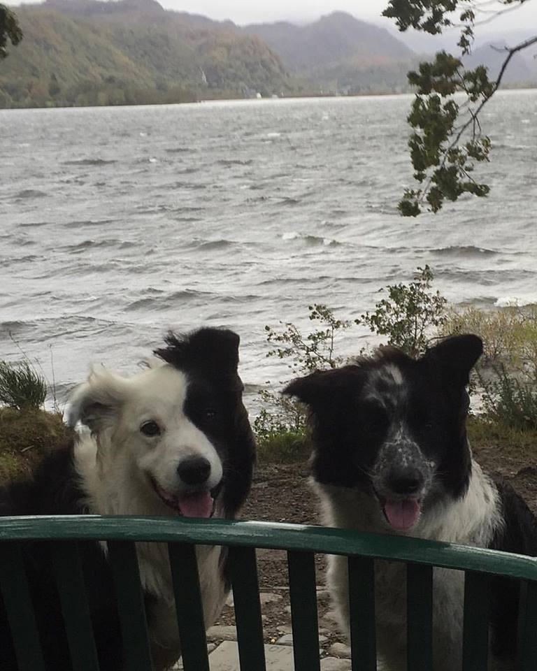 ‪Now that was a windy 3 mile run! Morning all.