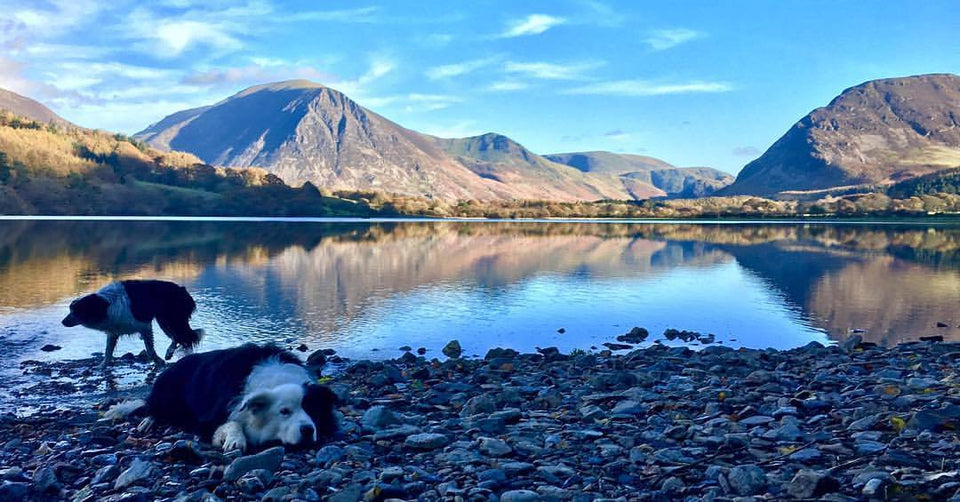 Loweswater heaven for us & Cherrydidi folk today.