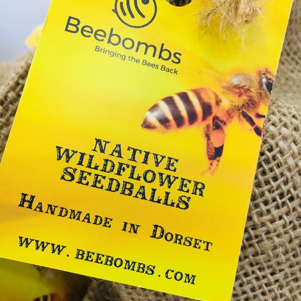 Get bee bombing!