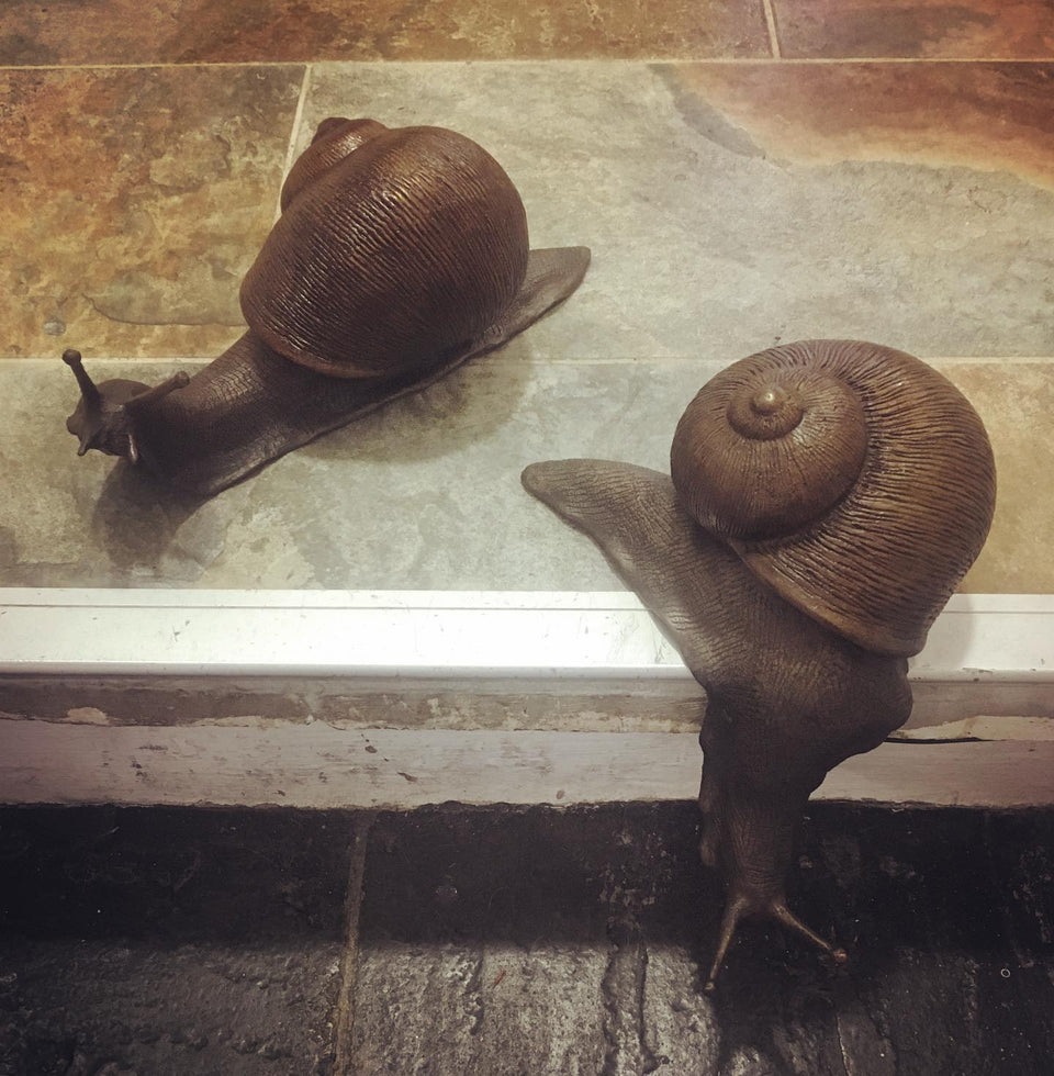 Perfect weather snails....