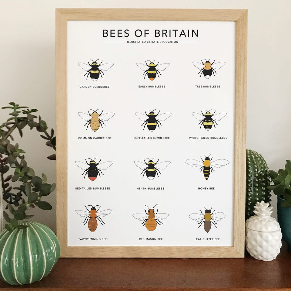Bees of Britain.....