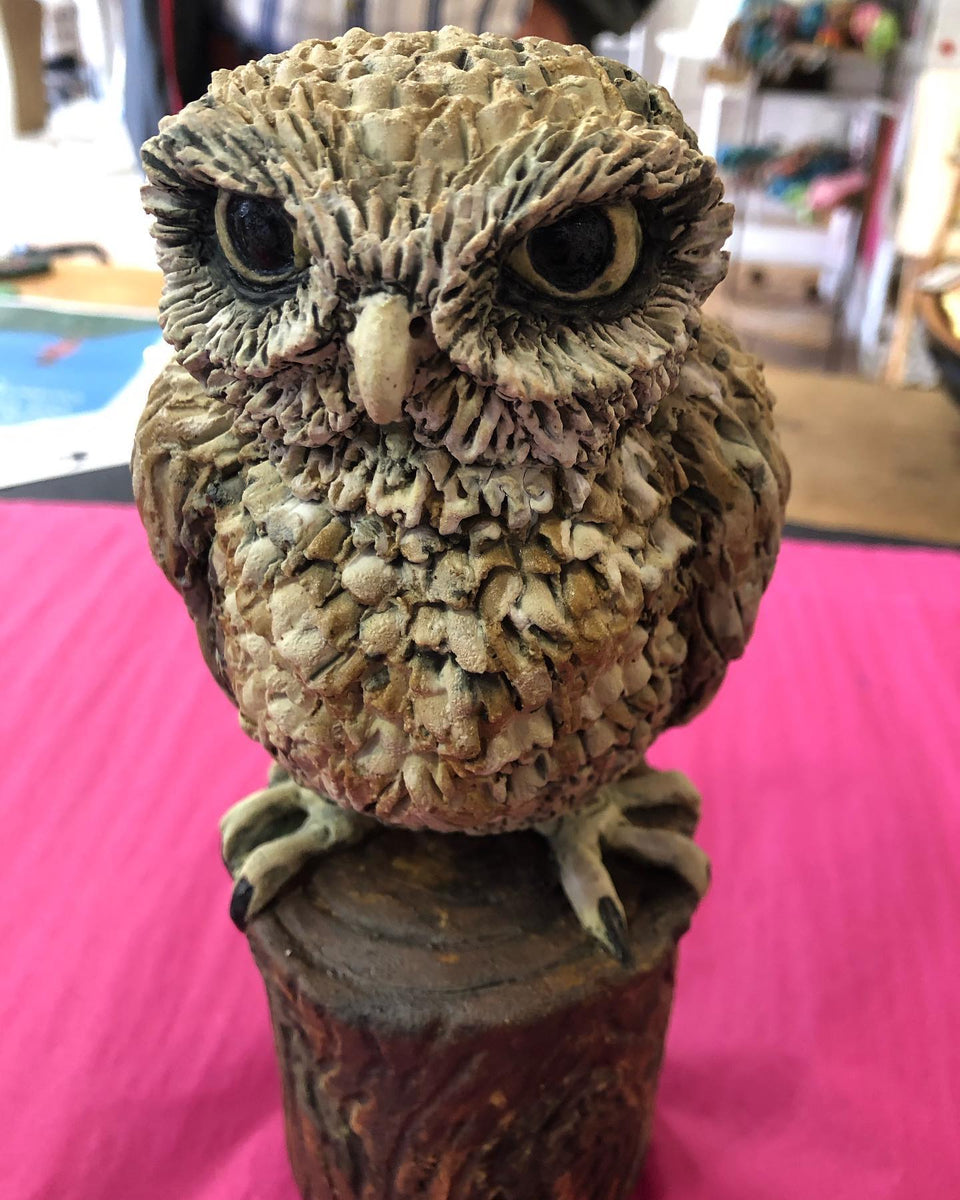 'Little Owl' has a new nest!