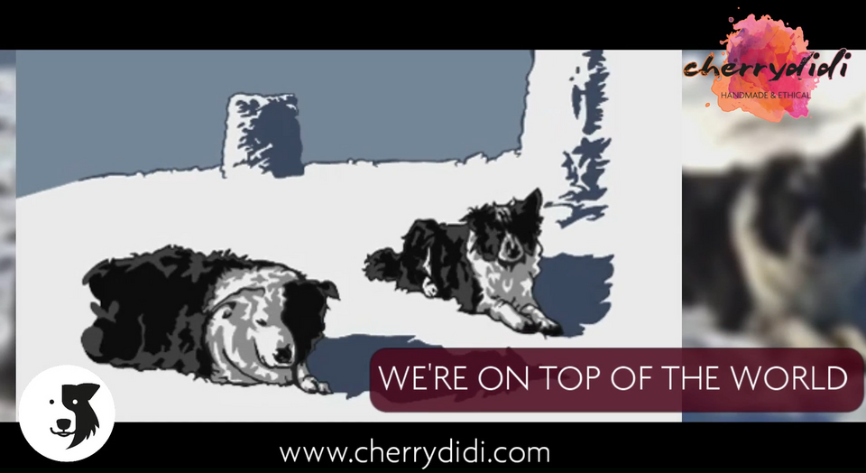 ***#COMPETITION*** We're on top of the world, Cherrydidi is 5 years old!