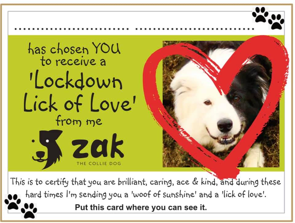 Anyone you know in need of cheering up? Let me send them a ‘Lockdown Lick of Love’ card. Cure the Covid blues with an act of canine kindness! COMPLETELY FREE SERVICE