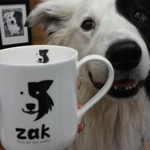 For Zak the Collie Dog Fans