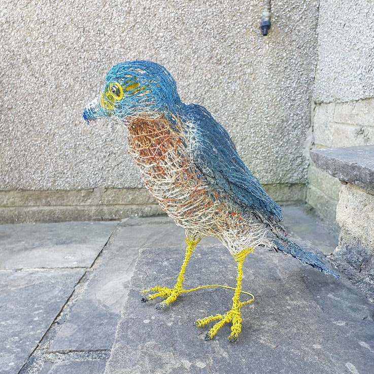 Sparrowhawk - Wire Sculpture by John McManus Art