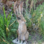 Sitting Hare (Large) - Wire Sculpture by John McManus Art
