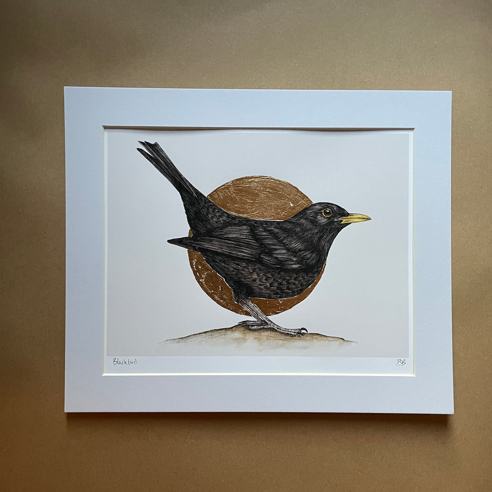 Fine Art Prints of British Birds - Dais SB Art