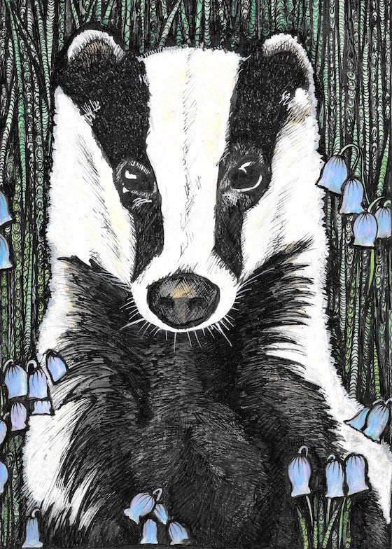 Bluebell Badger - Fine Art Print by Jennifer Guest Art
