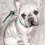 IB, Gina Andrews, InkBison, indian ink, inks, painting, pets, prints, animal, pug