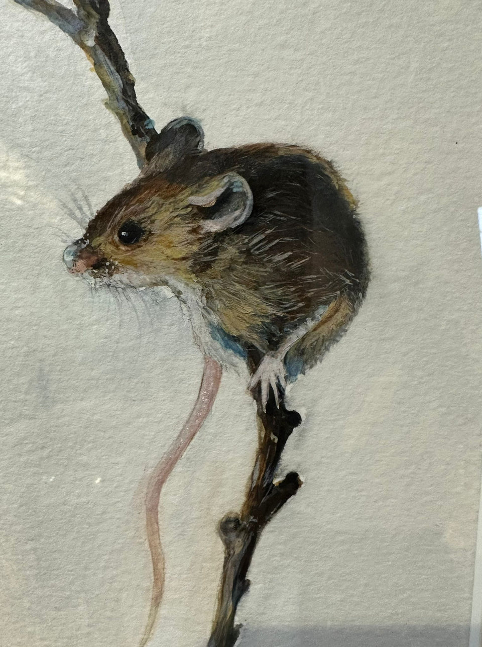 Original watercolour of a mouse by Sarah Stoker