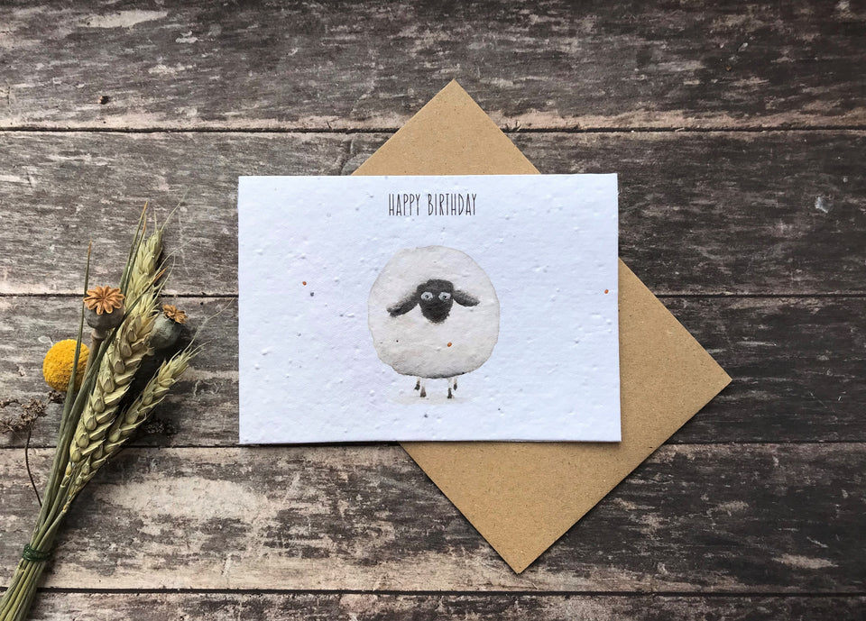 Cards for Birthdays - PLANTABLE Eco-friendly Cards