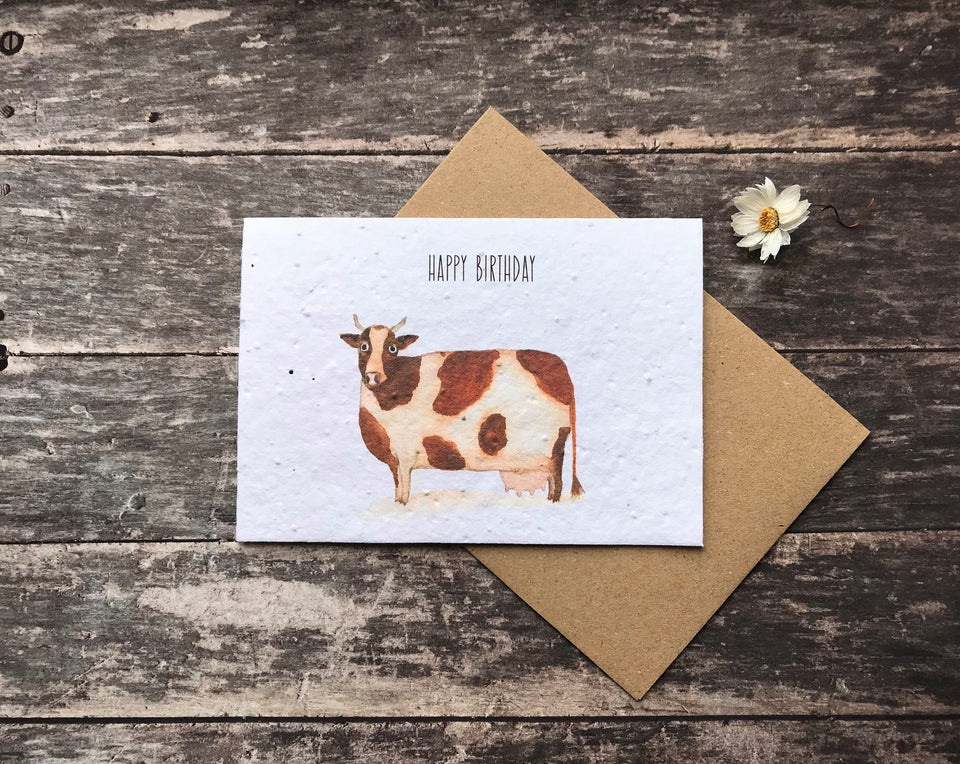 Cards for Birthdays - PLANTABLE Eco-friendly Cards