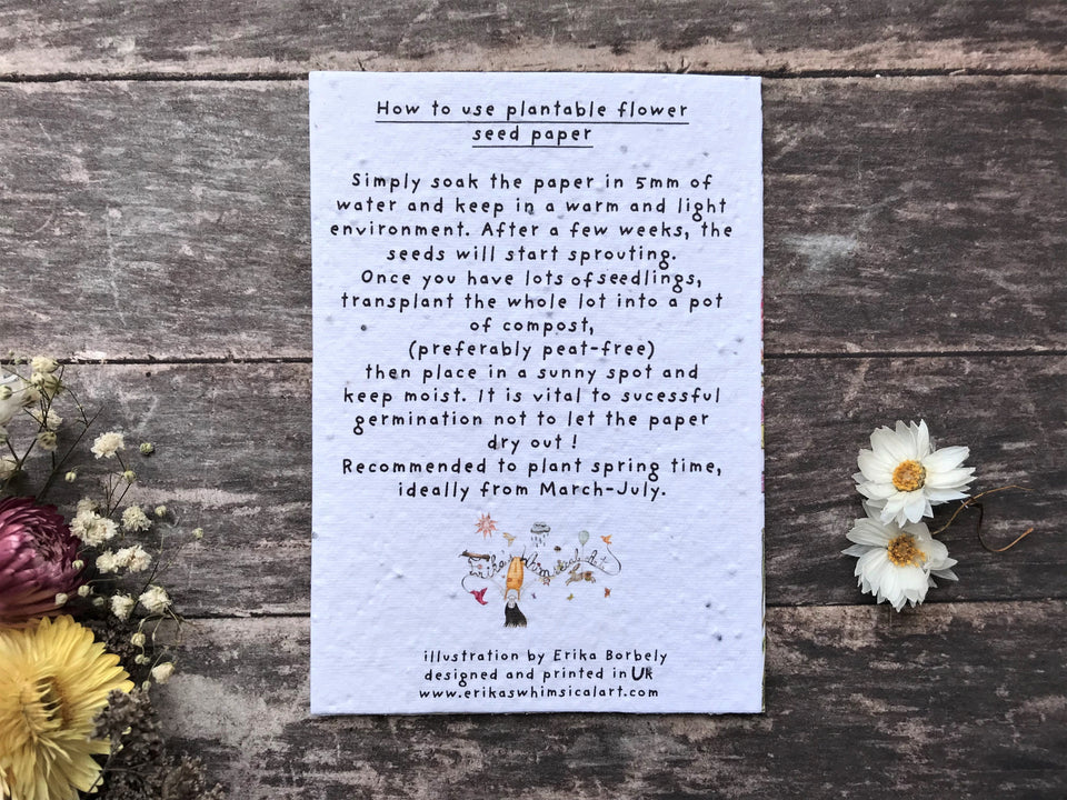 Cards for Birthdays - PLANTABLE Eco-friendly Cards