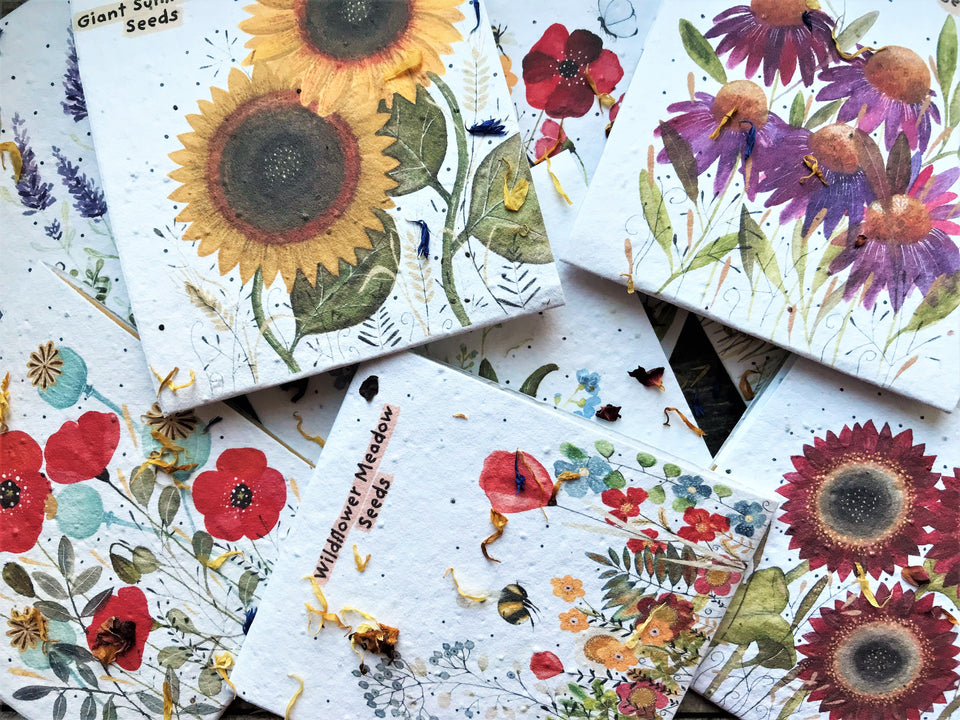 FREE Illustrated Seed Pack - with every online order for Mother's day - ends 3rd March