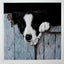 'Longing' - Fine Art Print