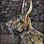 Watchful Hare - Fine Art Print by Jennifer Guest Art
