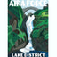 Aira Force - Poster by Jo Witherington