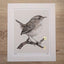 Ambleside Dipper - A3 - Fine Art Prints of British Birds - Dais SB Art
